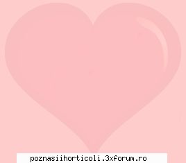 Discutii - dar dc sunt diferentze? faci discriminari? poate - Discutii cu poznasii