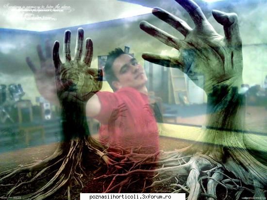 Poznasii2102 - Da tu reprezinti gr 2105???...dak zici k sunteti - Horticultura2005