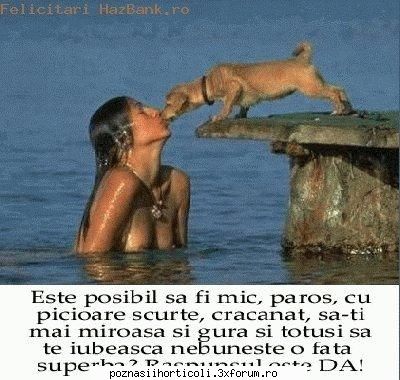Poznasii2102 - e prea penala poza aia uitati aici poza si anuntz - Horticultura2005